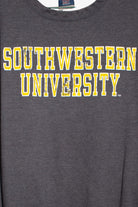 Vintage Southwestern University Sweatshirt (1990s)