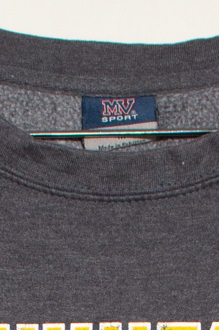 Vintage Southwestern University Sweatshirt (1990s)