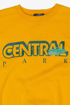 Vintage Central Park Sweatshirt (1990s)