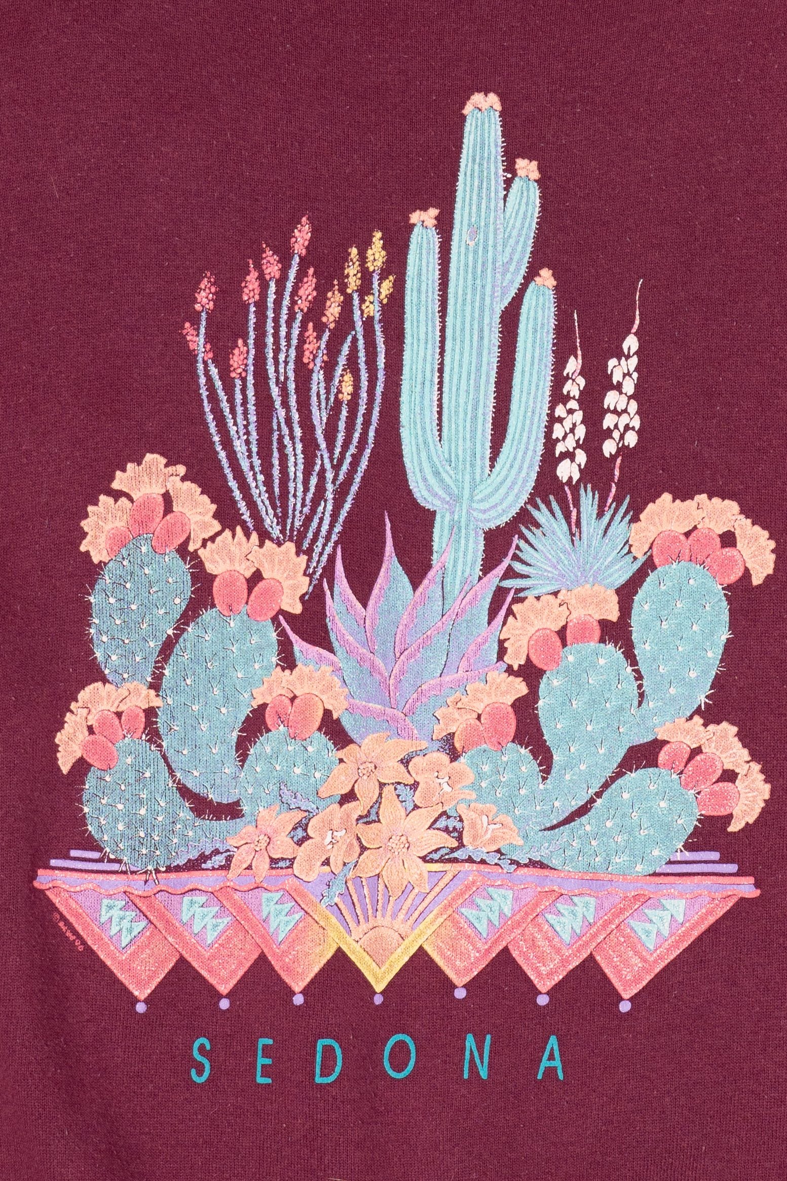 Vintage Sedona Cacti Tultex Sweatshirt (1990s)