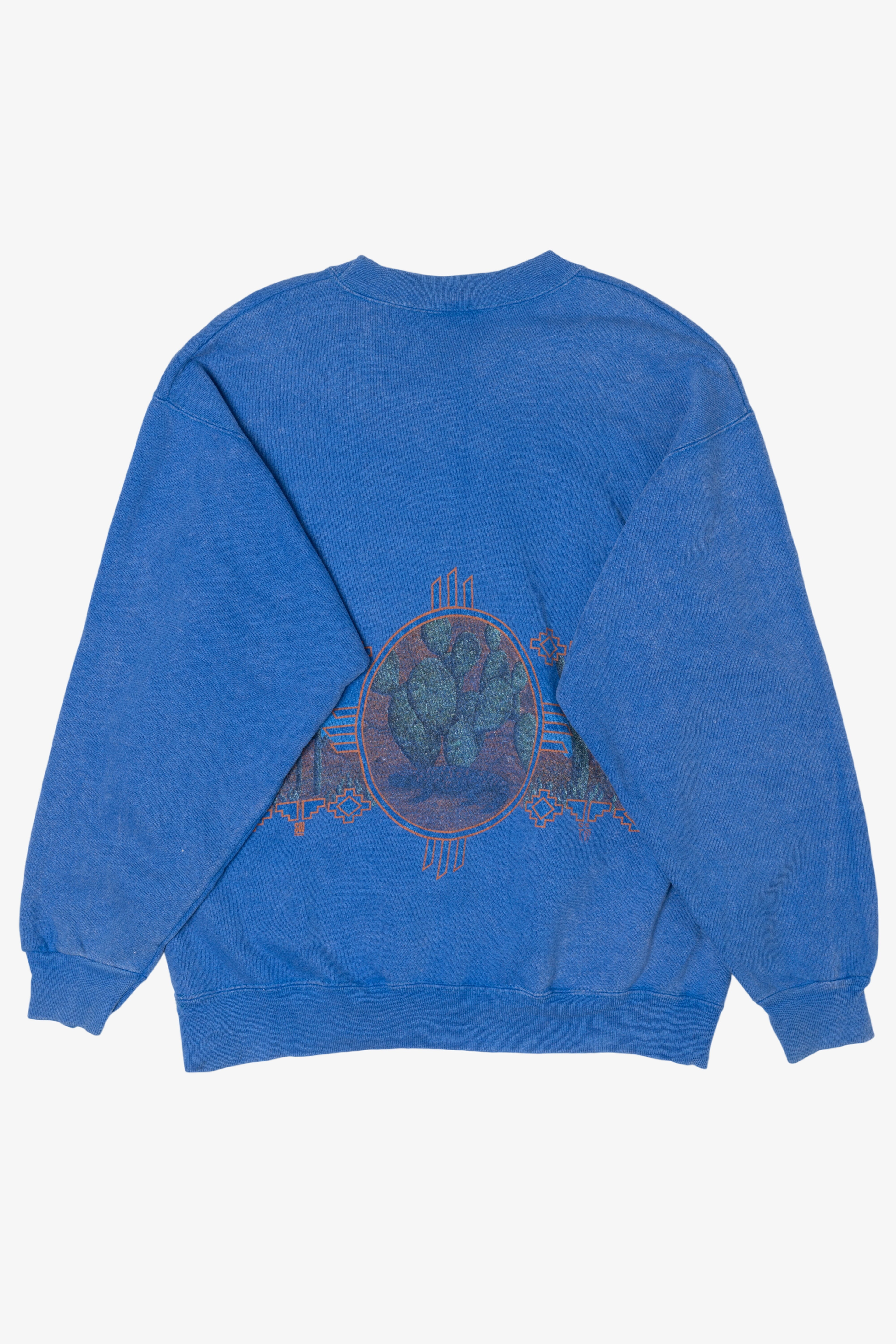 Vintage Arizona Cacti 85/15 Sweatshirt (1990s)