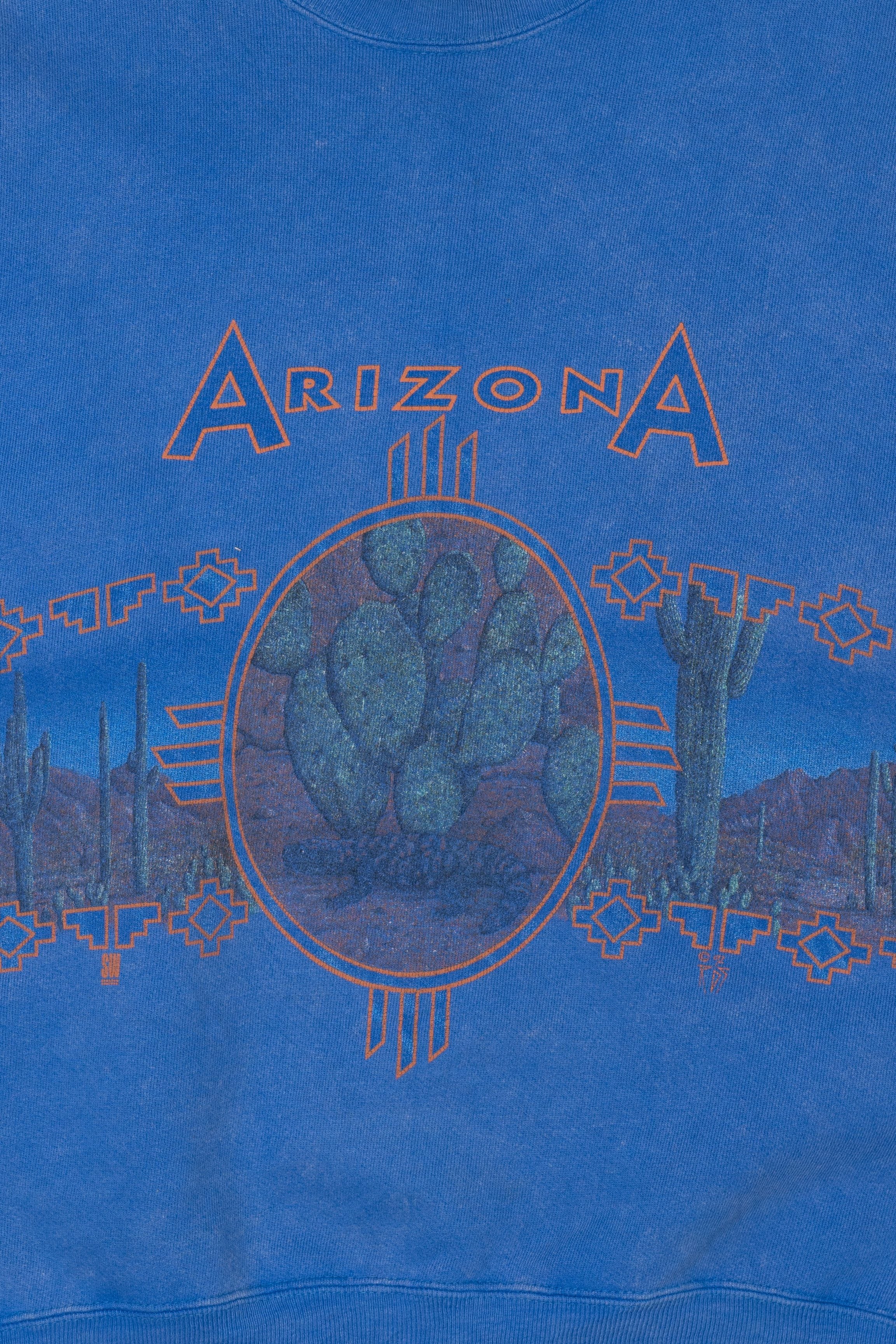 Vintage Arizona Cacti 85/15 Sweatshirt (1990s)