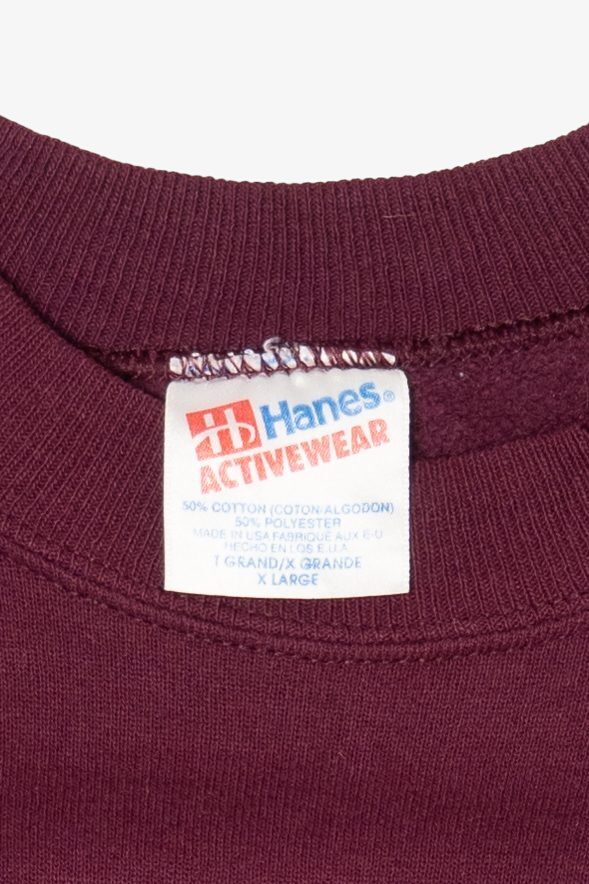 Vintage The Centennial State Berthoud Colorado Raglan Sweatshirt (1990s)