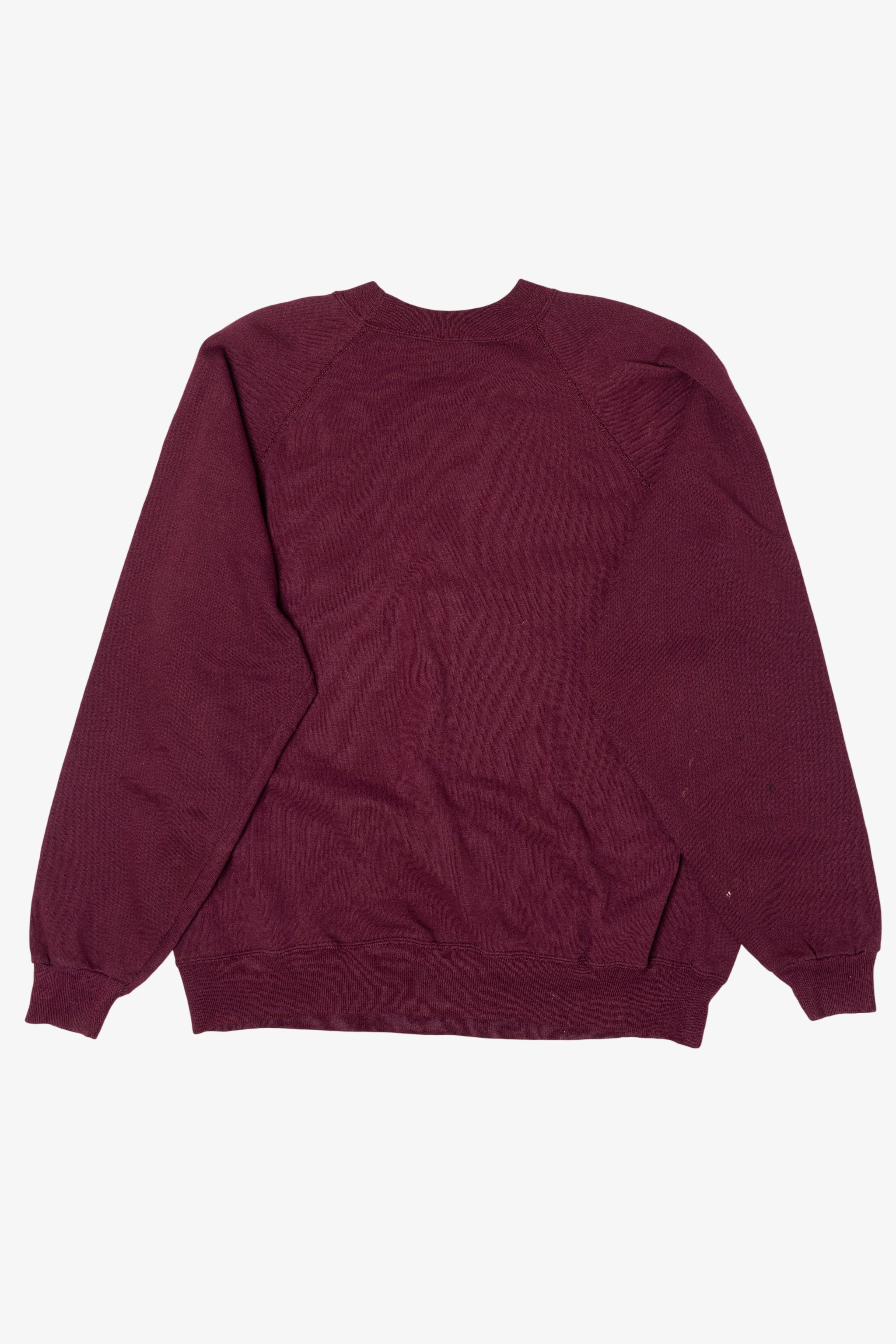 Vintage The Centennial State Berthoud Colorado Raglan Sweatshirt (1990s)