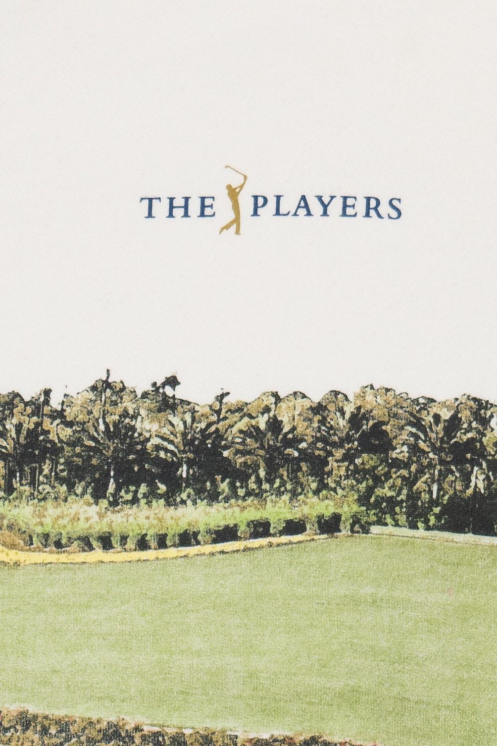Abercrombie & Fitch x Reserve "The Players" Golf Course Wraparound Print Sweatshirt