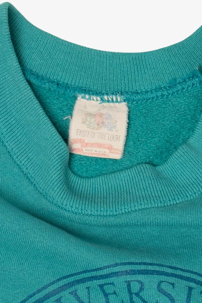 Vintage Turquoise Harvard University Raglan Sweatshirt (1990s)