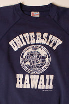 Vintage University of Hawaii Sweatshirt (1990s)