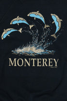 Vintage "Monterey" Dolphins Raglan Sweatshirt (1990s)