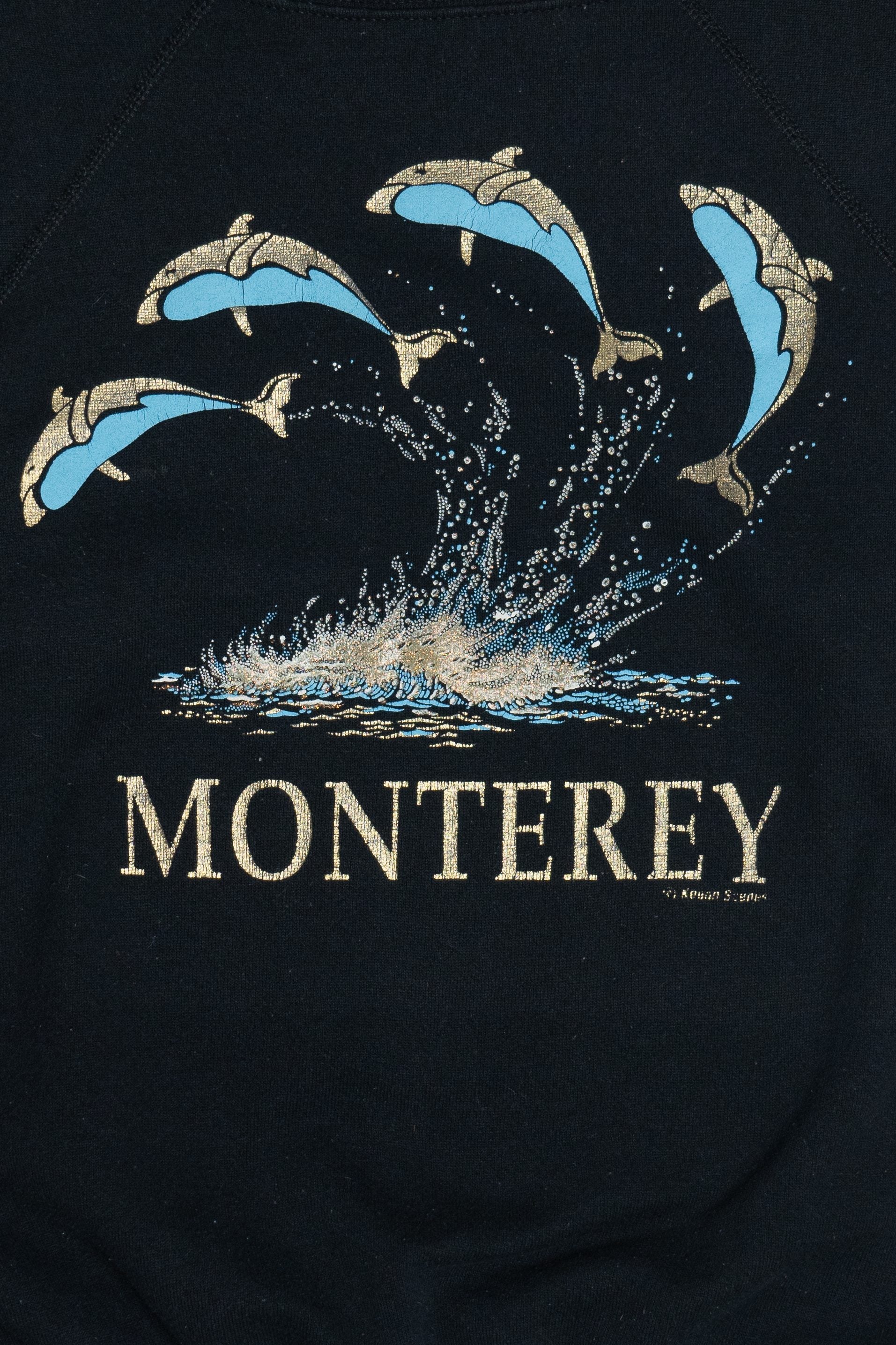 Vintage "Monterey" Dolphins Raglan Sweatshirt (1990s)