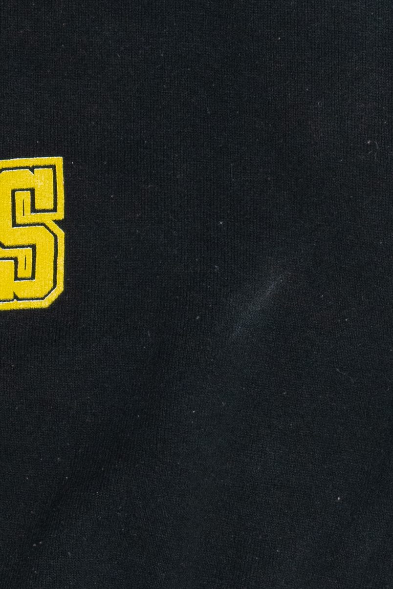 Vintage "North Co. Rams" Raglan Sweatshirt (1990s)