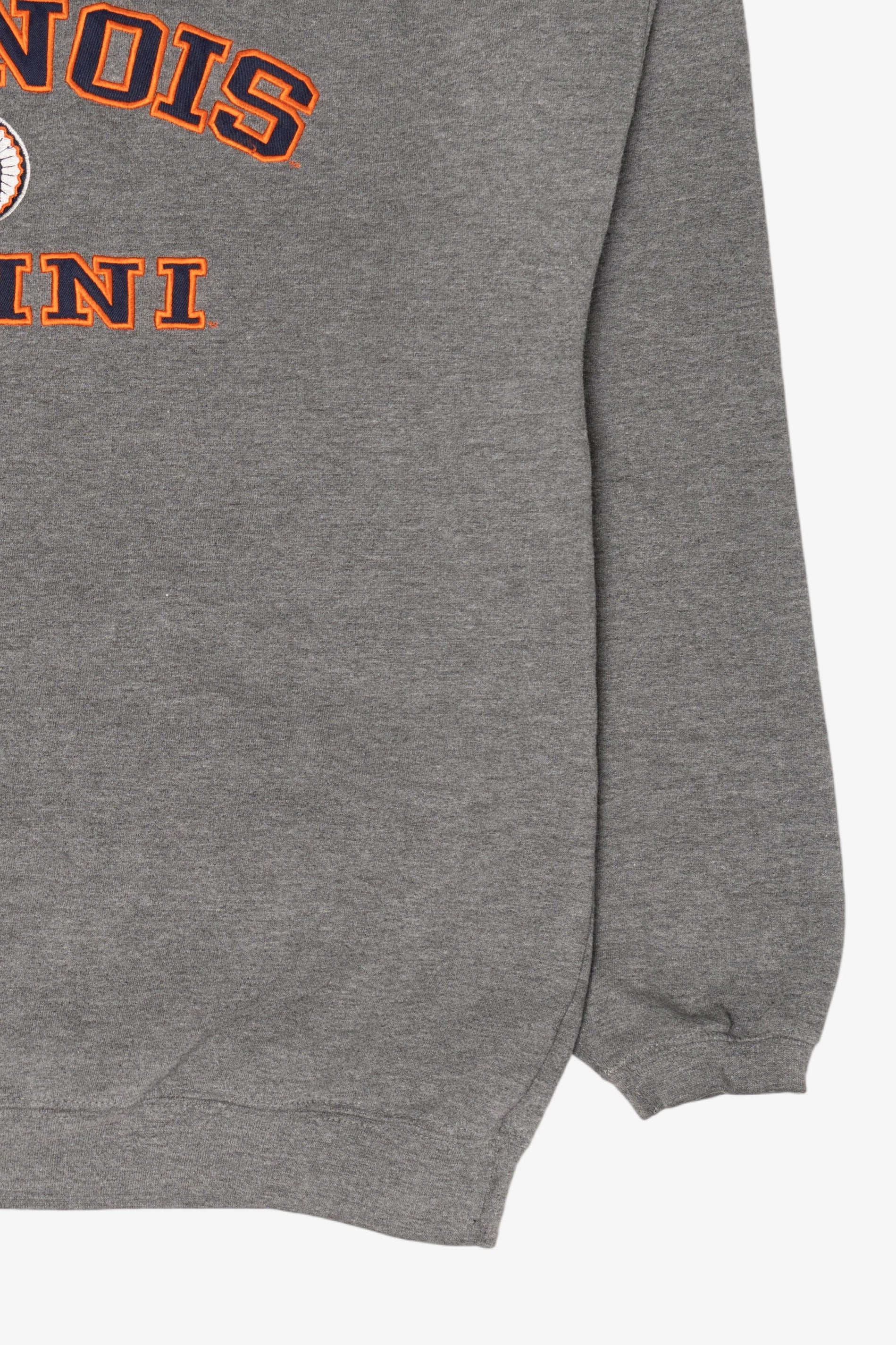 Vintage Gray Illinois Illini Sweatshirt (2000s)