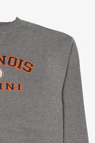 Vintage Gray Illinois Illini Sweatshirt (2000s)