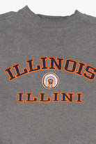 Vintage Gray Illinois Illini Sweatshirt (2000s)