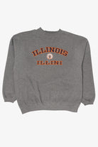 Vintage Gray Illinois Illini Sweatshirt (2000s)
