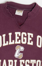 College Of Charleston South Carolina Sweatshirt (2020s)