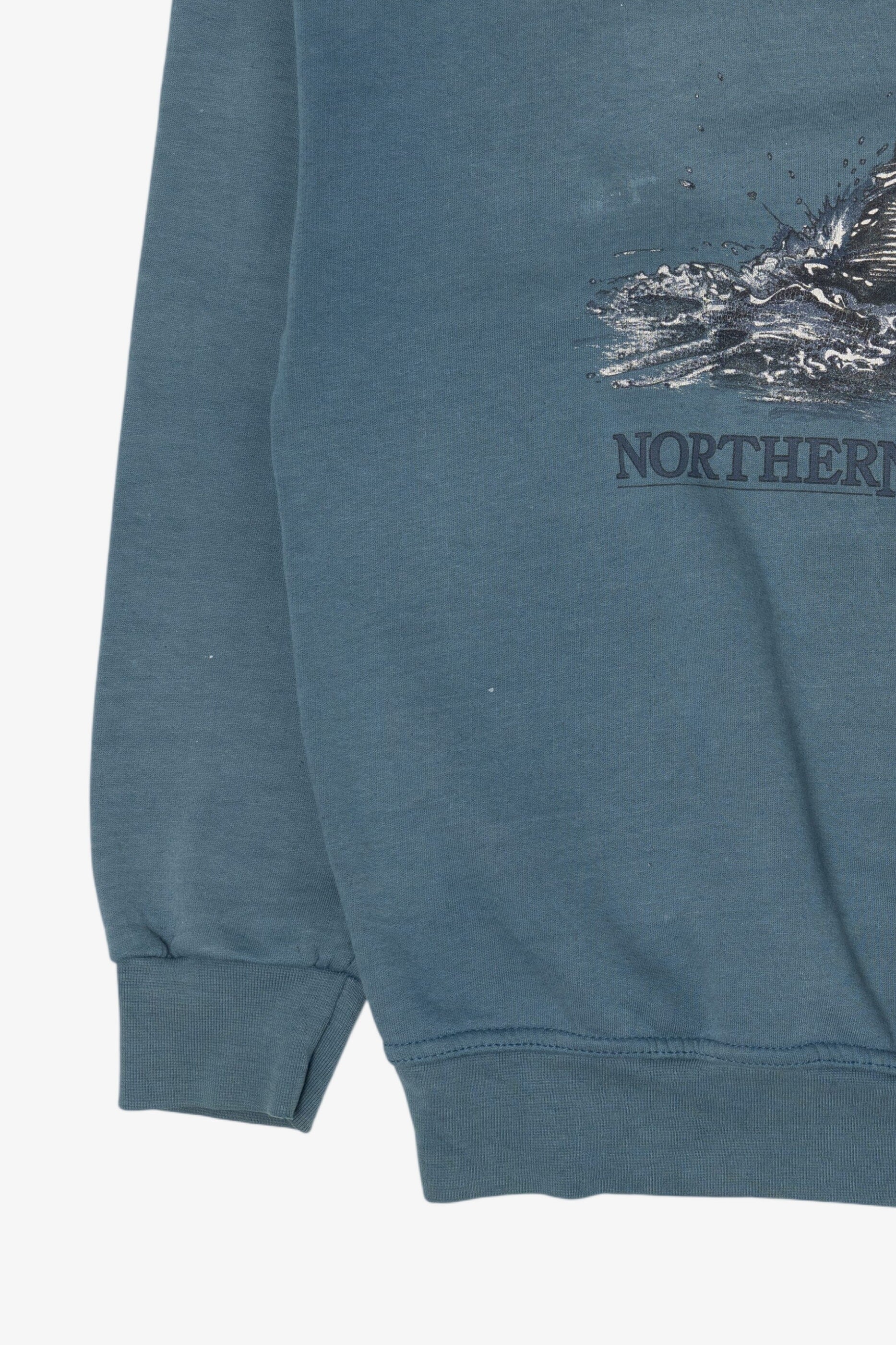 Vintage Blue Northern Reflections Loon Sweatshirt (1990s)