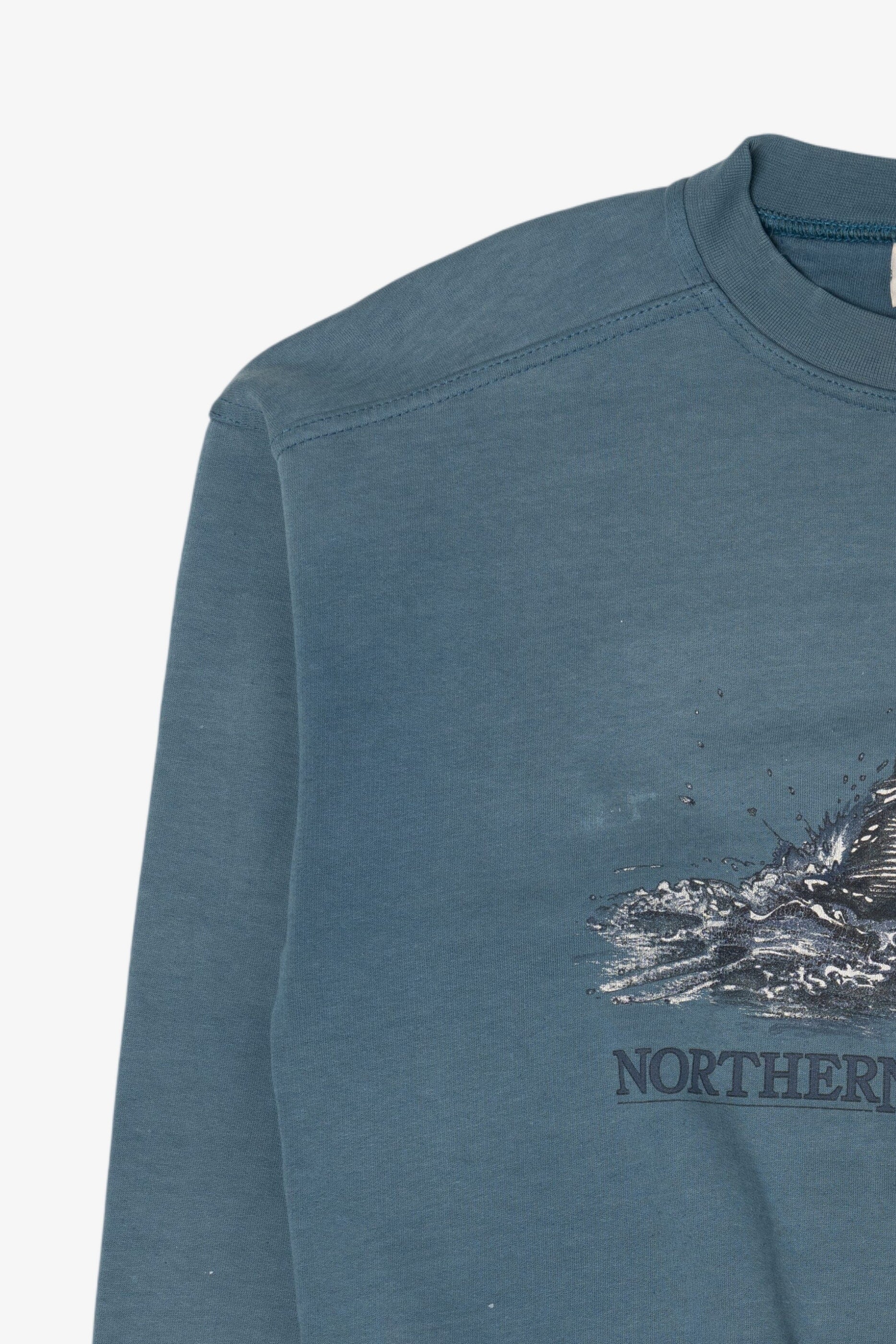 Vintage Blue Northern Reflections Loon Sweatshirt (1990s)