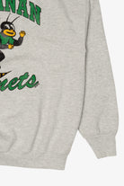 Vintage Gray Buchanan Hornets Sweatshirt (1990s)