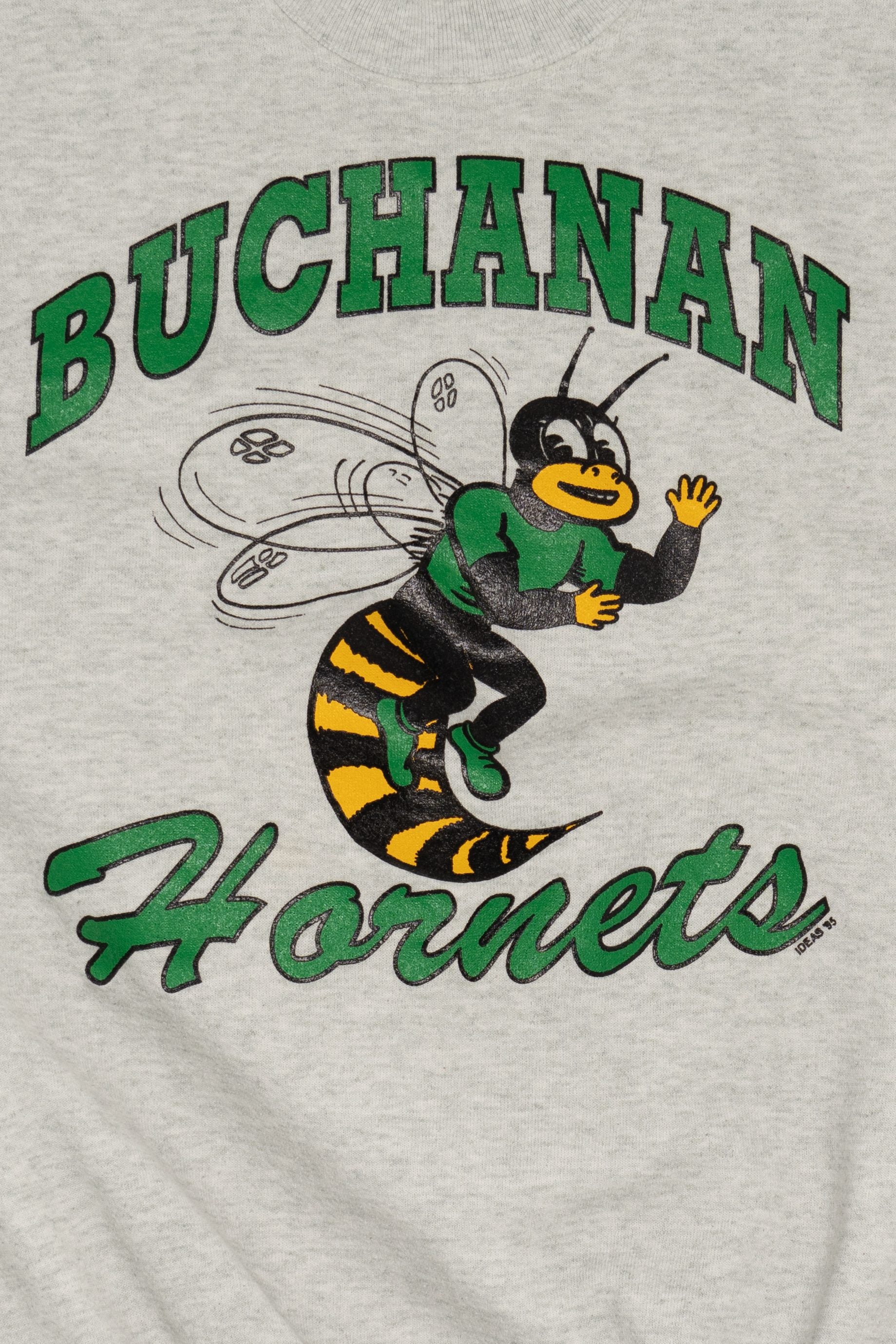 Vintage Gray Buchanan Hornets Sweatshirt (1990s)