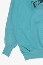 Vintage Blue Desert Sweats Palm Springs California Raglan Sweatshirt (1990s)