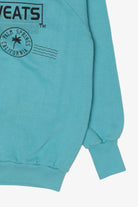 Vintage Blue Desert Sweats Palm Springs California Raglan Sweatshirt (1990s)