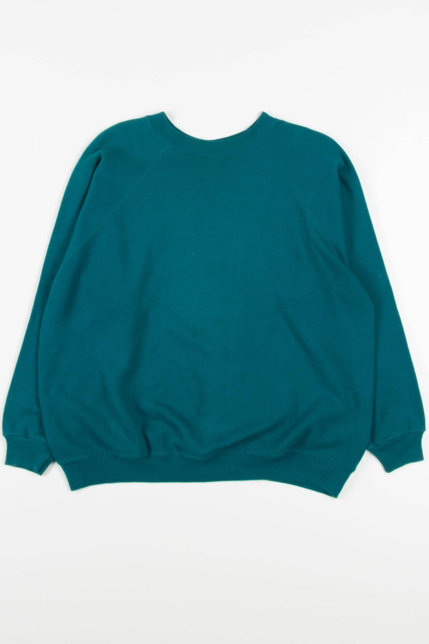 Teal Sweatshirt 5