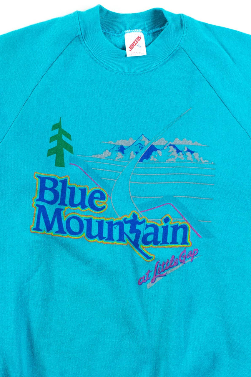Vintage Blue Mountain At Little Gap Sweatshirt (1980s)
