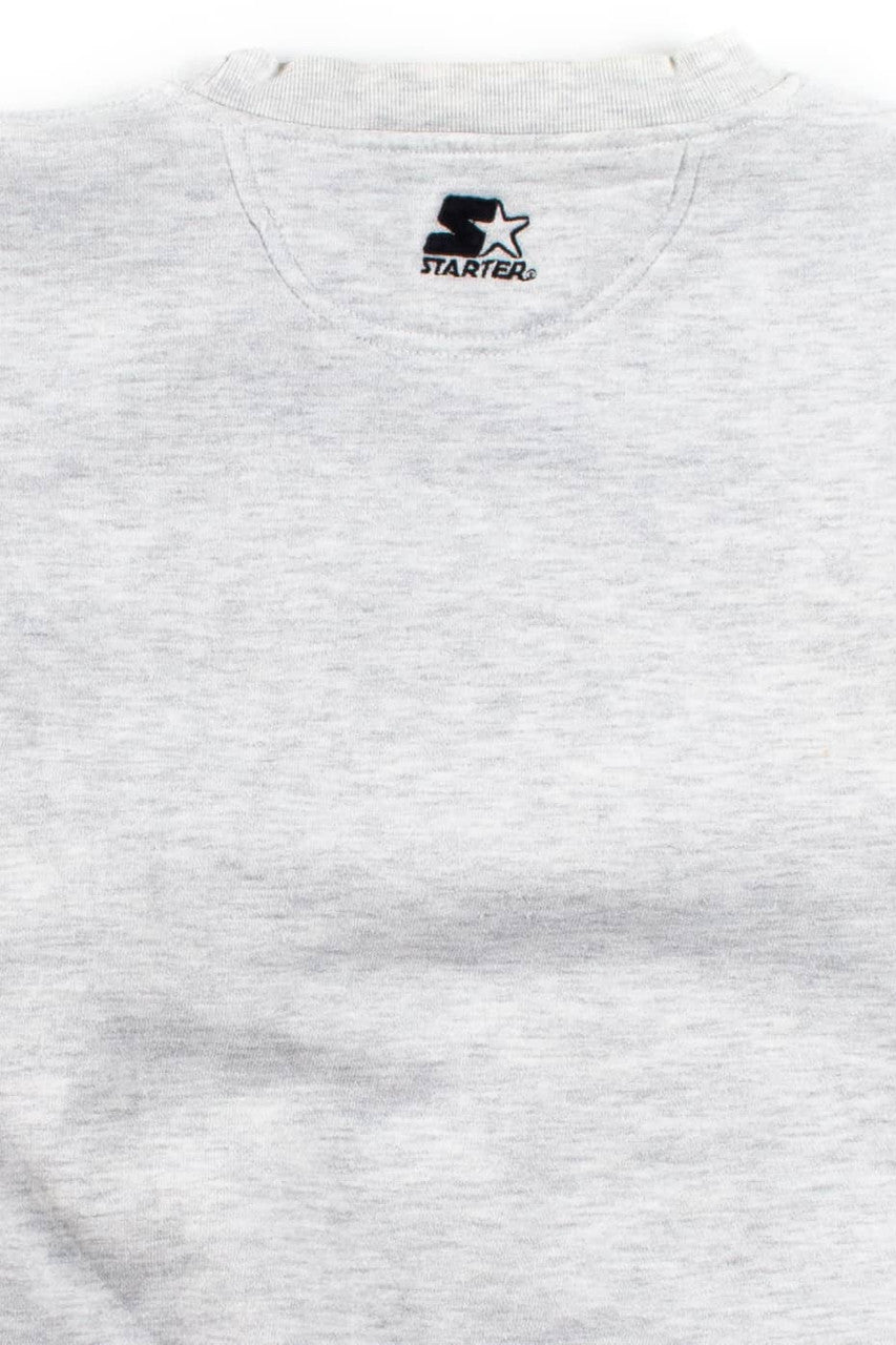 Vintage Pittsburgh Steelers Starter Sweatshirt (1994)