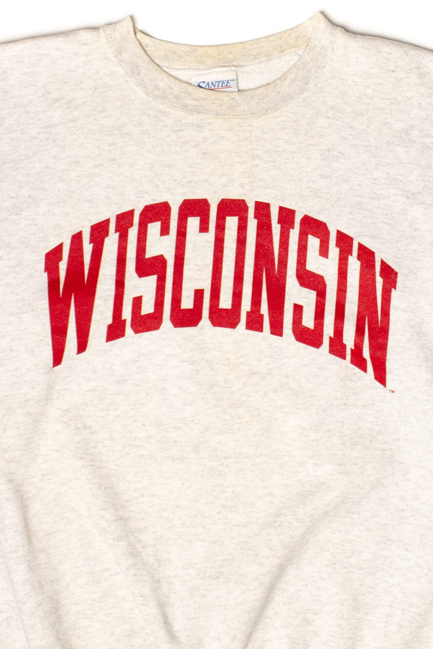 Vintage Wisconsin Sweatshirt (1990s)