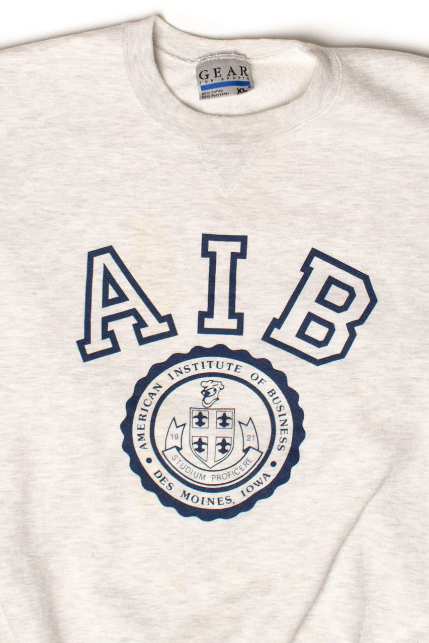 Vintage American Institute of Business Sweatshirt (1990s)