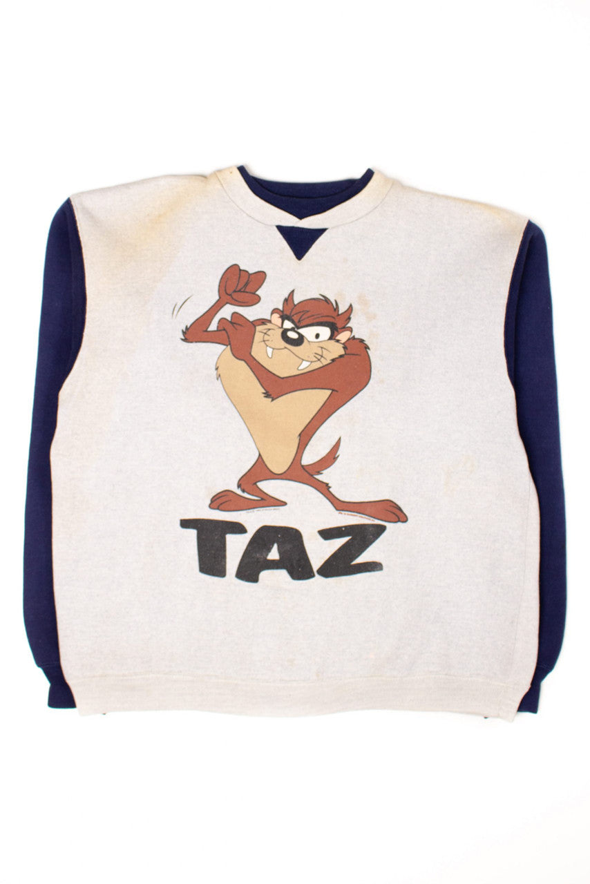 Vintage Taz Sweatshirt (1993)