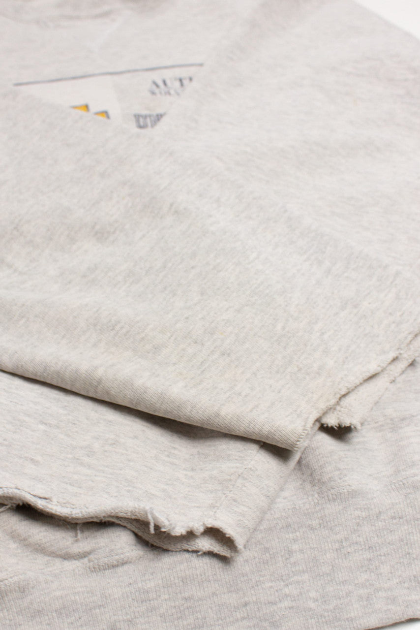 Vintage University Of Michigan Champion Sweatshirt (1990s)