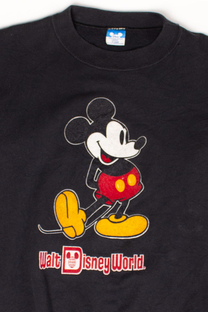 Vintage Walt Disney World Sweatshirt (1980s)