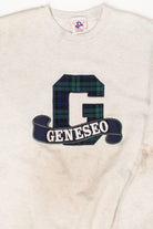 Vintage Stained SUNY Geneseo Sweatshirt (1990s)