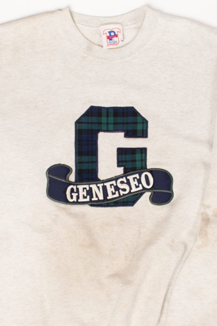 Vintage Stained SUNY Geneseo Sweatshirt (1990s)