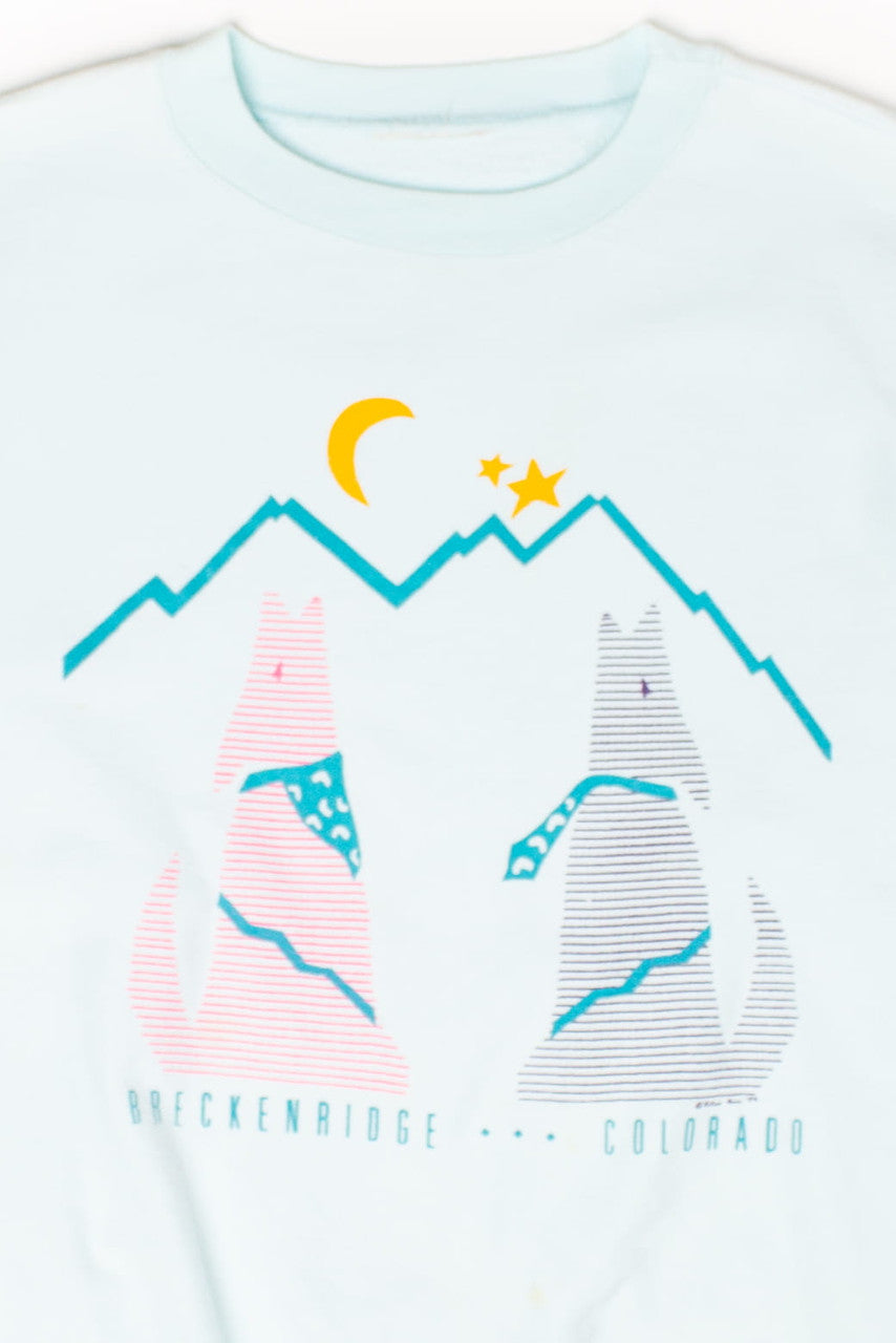 Vintage Breckenridge, Colorado Sweatshirt (1990s)