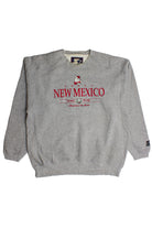 Vintage New Mexico Sweatshirt (1990s)