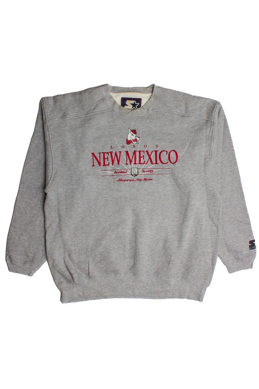 Vintage New Mexico Sweatshirt (1990s)