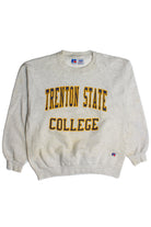Vintage Trenton State College Sweatshirt (1990s)