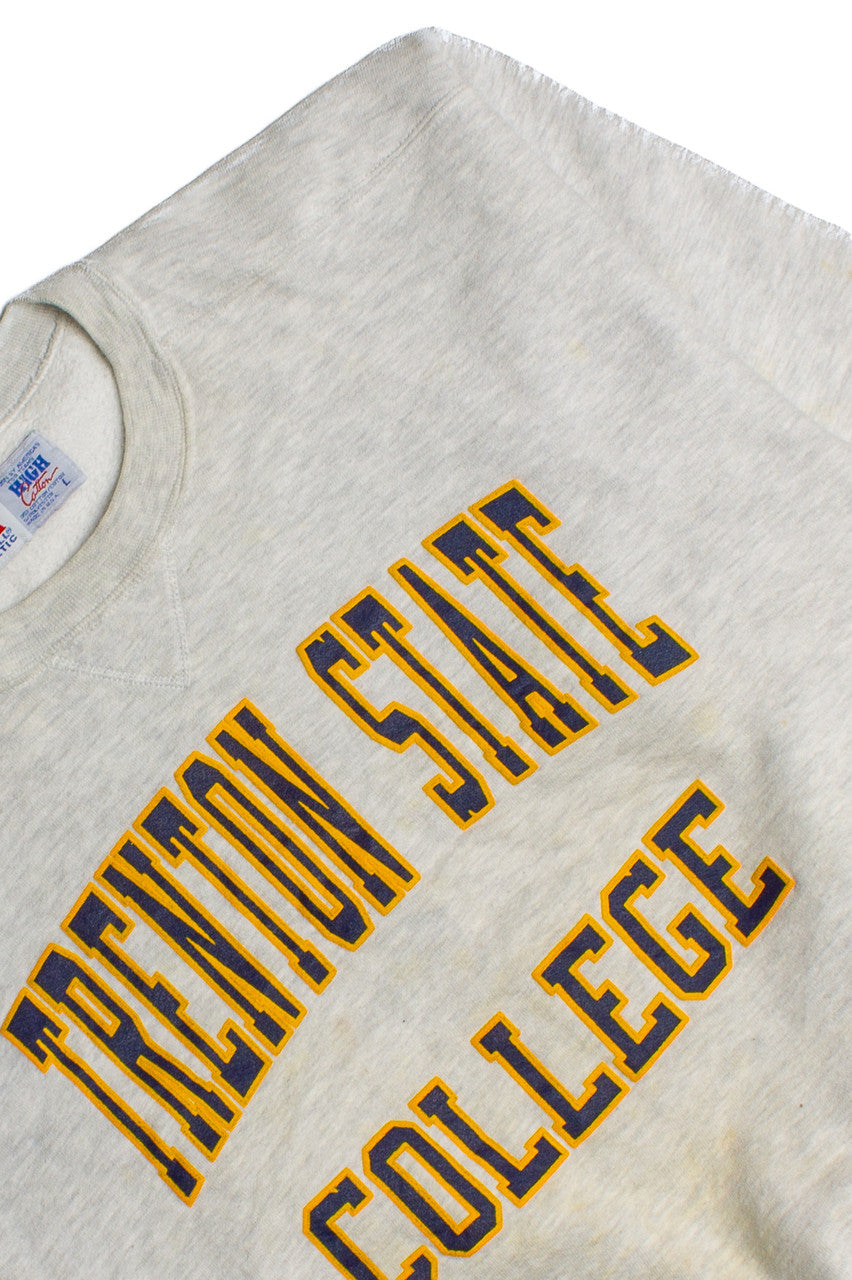Vintage Trenton State College Sweatshirt (1990s)