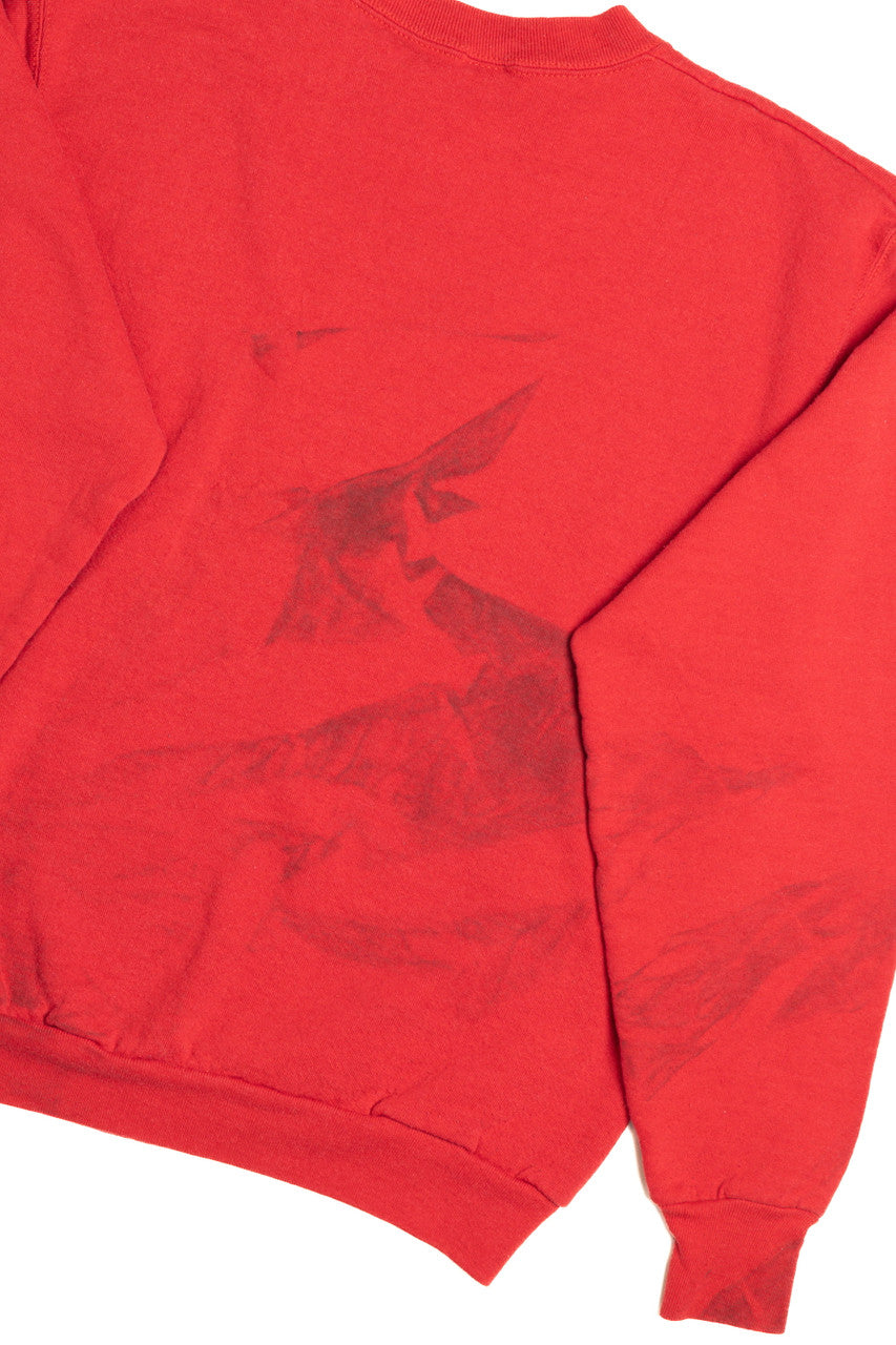 Boston Sweatshirt 8563