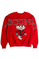 Vintage Wisconsin Badgers Sweatshirt (1990s) 8602
