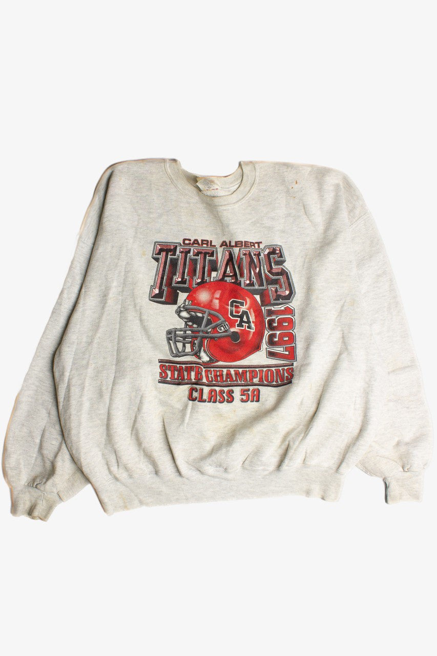 Vintage Carl Albert Sweatshirt (1990s) 8666