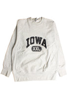 Vintage Iowa Sweatshirt (1990s) 8680