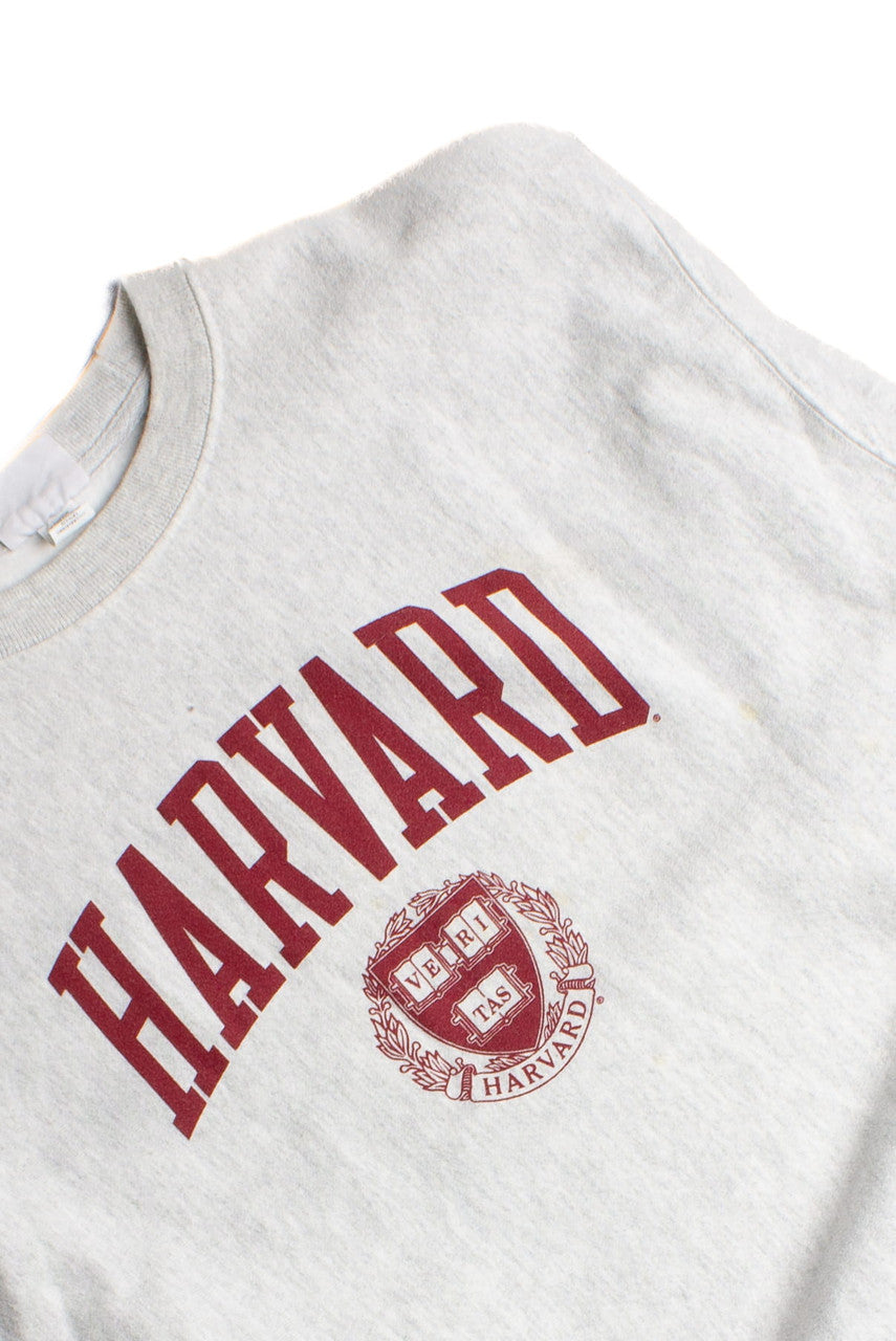 Vintage Harvard Champion Reverse Weave Sweatshirt (1990s) 8700