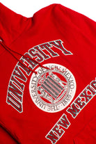 Vintage University Of New Mexico Hooded Sweatshirt (1980s) 8733