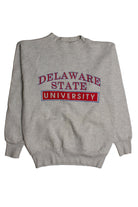 Vintage Delaware State University Sweatshirt (1990s) 8776