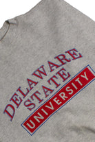 Vintage Delaware State University Sweatshirt (1990s) 8776