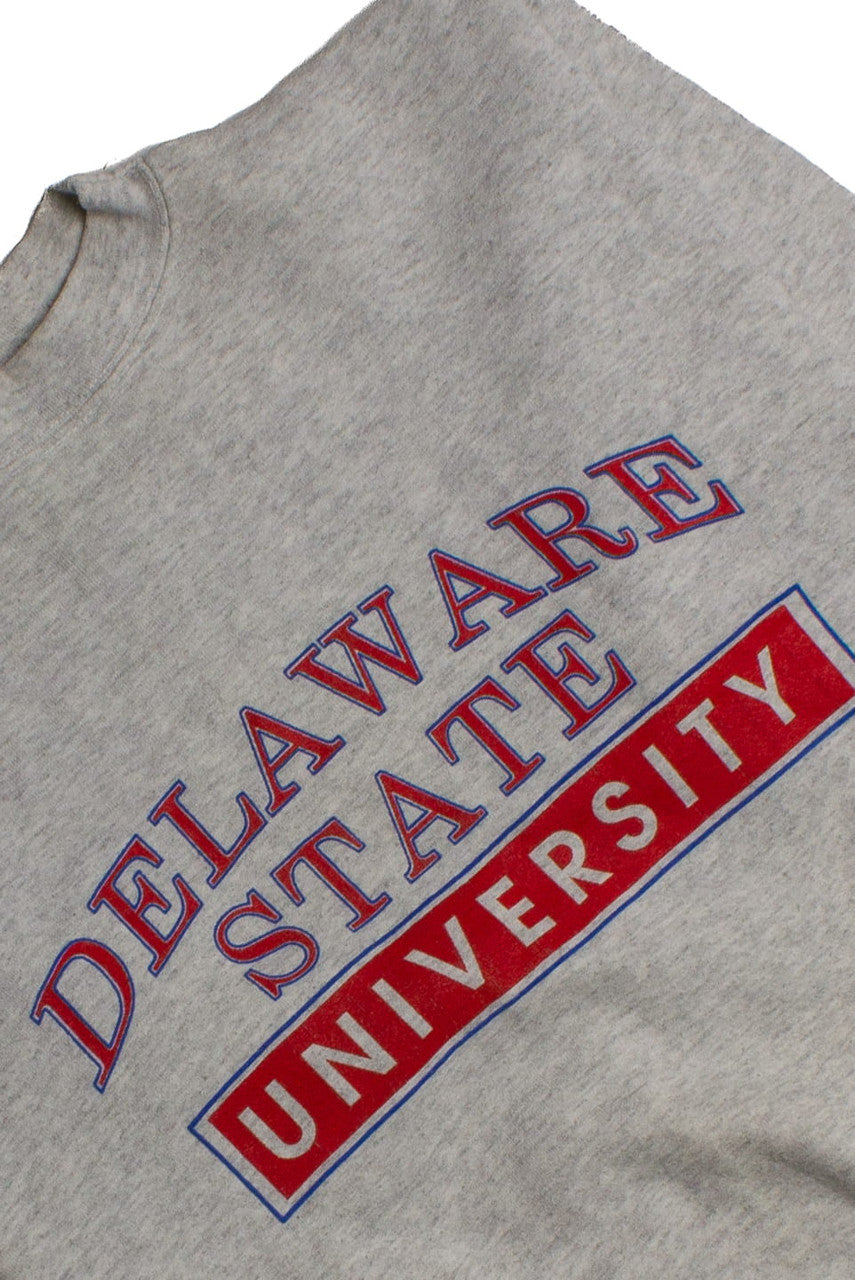 Vintage Delaware State University Sweatshirt (1990s) 8776