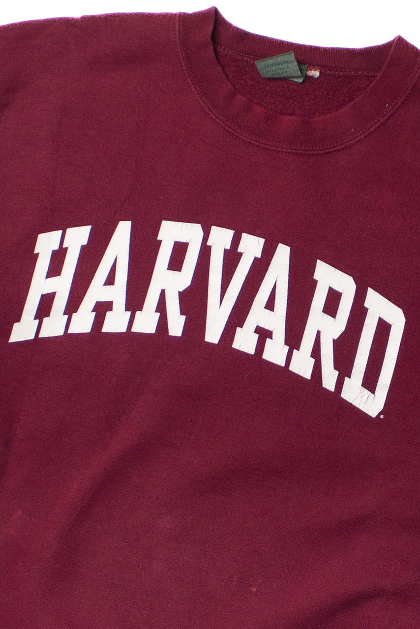Burgundy Harvard Spellout Sweatshirt